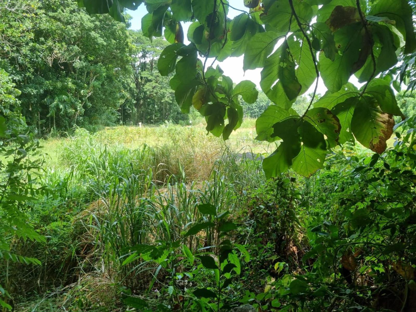 Silver Hill Ecovillage Курунегала Екстериор снимка