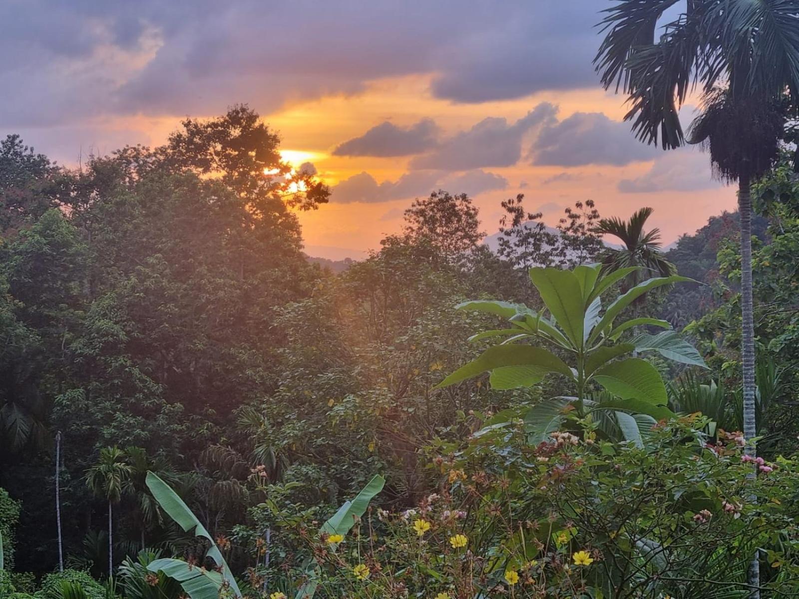 Silver Hill Ecovillage Курунегала Екстериор снимка